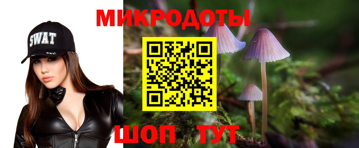 Псилоцибиновые грибы GOLDEN TEACHER  купить наркотик  Кумертау  Вход с VPN  Псилоцибиновые грибы Psilocybe 